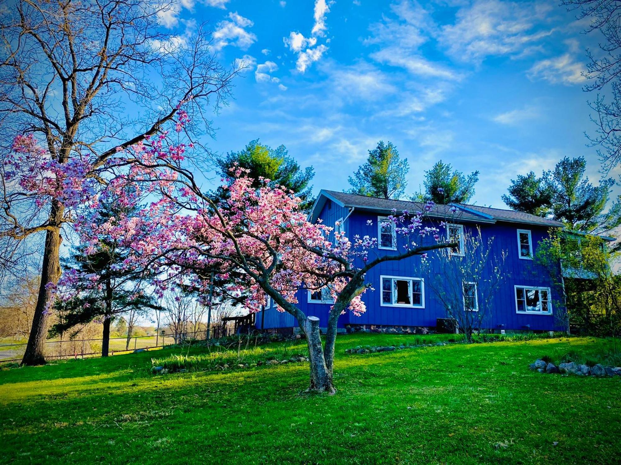 Inn Between The Lakes Three Rivers Exterior photo